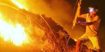 Habitat Komodo Tidak Terganggu oleh Kebakaran di Gililawa