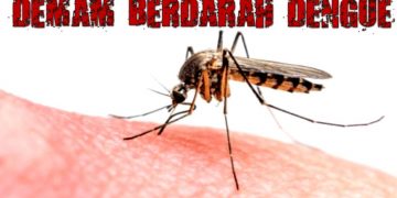 Yuk Kenali Fase-fase Pada Demam Berdarah Dengue (DBD)