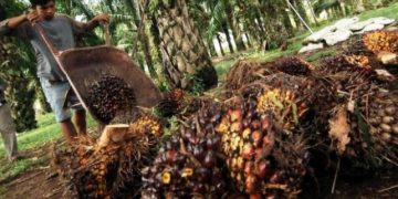 Bamsoet: KADIN Kritik Kebijakan Uni Eropa Terkait Diskriminasi Kelapa Sawit