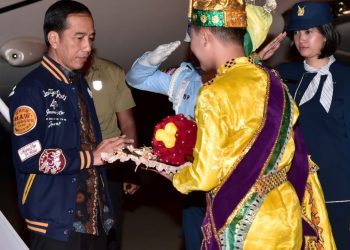 Presiden Jokowi Akan Hadiri Panen Raya Jagung di Gorontalo