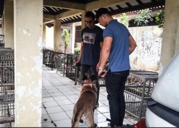 Polisi Cari Unsur Pidana Kasus Anjing Gigit ART hingga Tewas