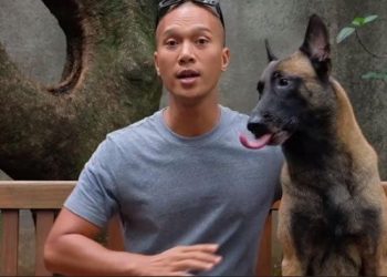 Anjing YangTewaskan PRT Diakui Agresif, 4 Kali Gigit Orang