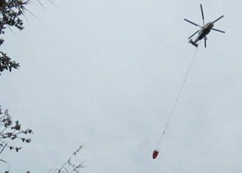 Bom Air Dinilai Paling Efektif Padamkan Karhutla