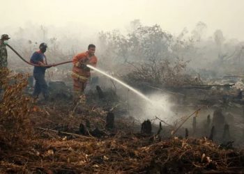 Harta Karun Kerajaan Sriwijaya Bermunculan di Lahan Karhutla