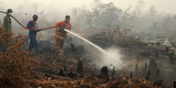 Harta Karun Kerajaan Sriwijaya Bermunculan di Lahan Karhutla