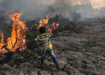 Polisi Sebut Kasus Karhutla di Riau Bermotif Ekonomi