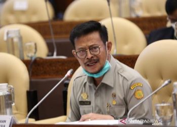 Kementan tambah program strategis pada 2021