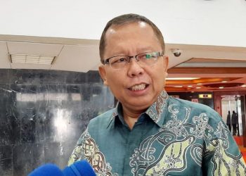 Singgung Sumbangsih Milenial, Sekjen PPP Nilai Megawati Tak Bermaksud Kecilkan Peran Milenial