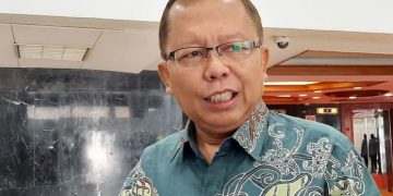 Singgung Sumbangsih Milenial, Sekjen PPP Nilai Megawati Tak Bermaksud Kecilkan Peran Milenial