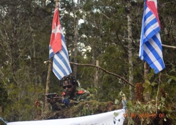 Baku Tembak KKB dan TNI-Polri dalam Sepekan di 3 Lokasi, Brimob hingga Warga Sipil Tewas