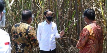 Ekspektasi Impor Bisa Berkurang, Jokowi Resmikan Pabrik Gula Bombana