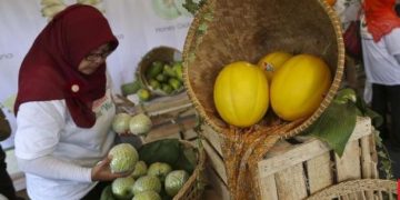 Corona Bikin Penjualan Produk Pertanian Makin Subur