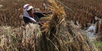 Efek Resesi Ekonomi, 132 Juta Orang Diprediksi Kelaparan