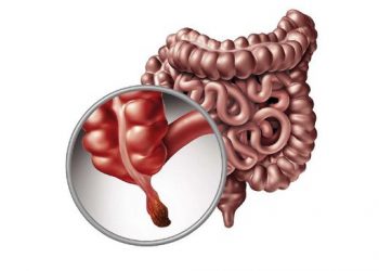 Manfaat Usus Buntu, Organ Tubuh yang Dianggap ‘Tak Berguna’