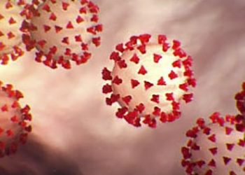 Studi Temukan Virus Corona Bertahan di Kulit Hingga 9 Jam