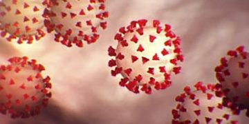 Studi Temukan Virus Corona Bertahan di Kulit Hingga 9 Jam