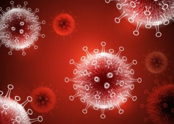 Ngeri, Kekebalan Tubuh Manusia Bisa Lumpuh Oleh Virus Corona