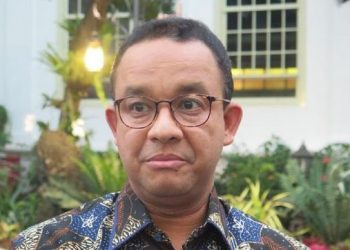 Kepulangan Rizieq Shihab Picu Kerumunan, PDIP Salahkan Anies