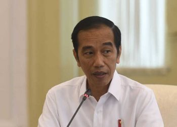 Presiden Bubarkan 10 Lembaga Negara Non-Kementerian, Apa Saja?