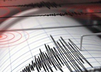 Maluku Barat Daya Diguncang Gempa M 6,3, Tak Berpotensi Tsunami
