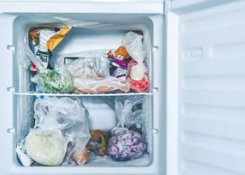 5 Tips Menjaga Suhu Kulkas agar Makanan Tak Cepat Busuk
