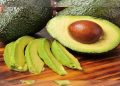 5 Manfaat Daun Alpukat untuk Kesehatan