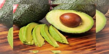 5 Manfaat Daun Alpukat untuk Kesehatan