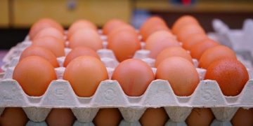 Telur Ayam vs Telur Bebek, Mana yang Lebih Bernutrisi?