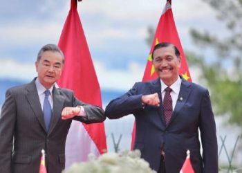 Menko Luhut Lakukan Komunikasi Kerjasama Dengan China