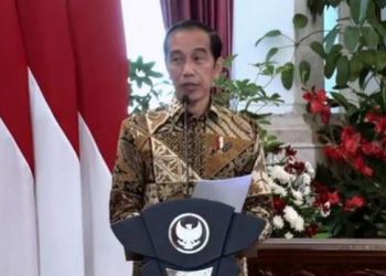 Himbauan Kepada Pemda, Jokowi: Pakai Masker Saja Tak Cukup!