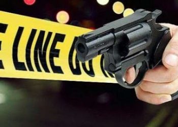 Diduga Sebagai Mata-Mata, KKB Tembak Mati Warga Intan Jaya, Papua