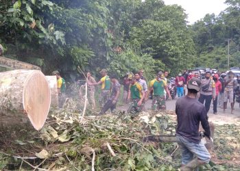 Pohon Tumbang Halangi Jalan Raya, Satgas 413 Kostrad Turun Tangan