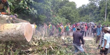 Pohon Tumbang Halangi Jalan Raya, Satgas 413 Kostrad Turun Tangan