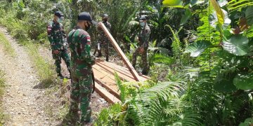 Laksanakan Patroli, Satgas Yonif 642/Kapuas Amankan Kayu Hasil Illegal Logging di Wilayah Perbatasan