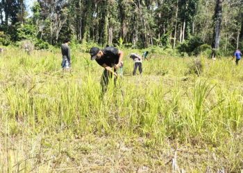 Personel Satgas Yonif 642 Bersama Warga Bersihkan Lapangan Sepak Bola Desa Bungkang