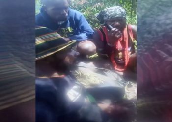 Berulah Lagi, KSB Papua Sebarkan Video Ancaman dan Propaganda Perang