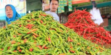 Harga Cabai Meroket? Ini Penyebabnya