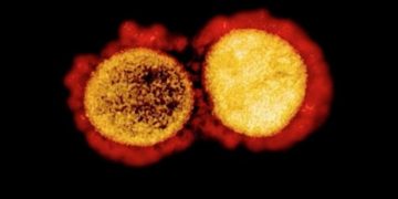 Virus Corona Mutasi Rusia Ditemukan di Australia