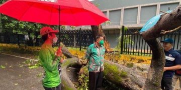 Dampak, Awan Cimulonimbus, Palembang Diterjang Angin Berkecepatan Hampir 100 Km per Jam