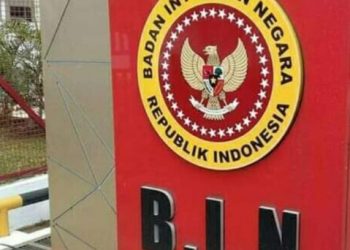 BIN Konfirmasi Tewasnya Kepala BIN Daerah Papua Ditembak KKB