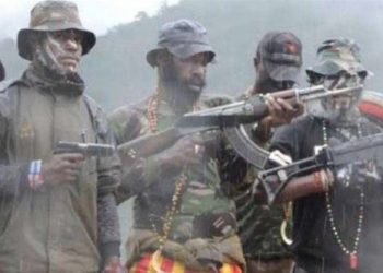 KKB Teror Kembali Dunia Pendidikan, 1 Guru Kembali Tewas Ditembak