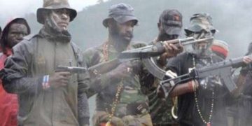 KKB Teror Kembali Dunia Pendidikan, 1 Guru Kembali Tewas Ditembak