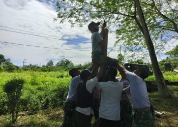 Salurkan Hobi Warga, Satgas Pamtas RI-PNG Yonif 131/Braja Sakti Bangun Lapangan Voli