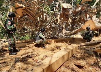 Satgas Pamtas Yonif 642/Kapuas Amankan Kayu Ilegal