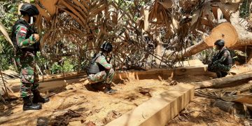 Satgas Pamtas Yonif 642/Kapuas Amankan Kayu Ilegal