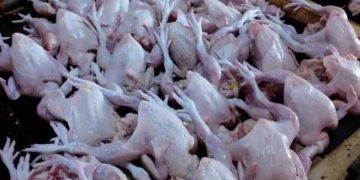 Kementerian Perdagangan Buka Opsi Impor Daging Ayam