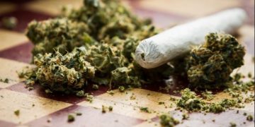 Resmi! New York Legalkan Peggunaan Ganja Untuk Kesenangan