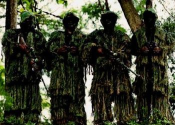 “Buru” KKB, TNI Siapkan Sebanyak 400 Pasukan Setan