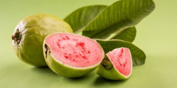 8 Manfaat dari Buah dan Daun Jambu Biji