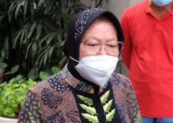 Gempa Bumi Berpotensi Tsunami Dikabarkan Akan Mengguncang Jawa Timur, Mensos Langsung Tanggap Persiapkan Mitigasi Bencana